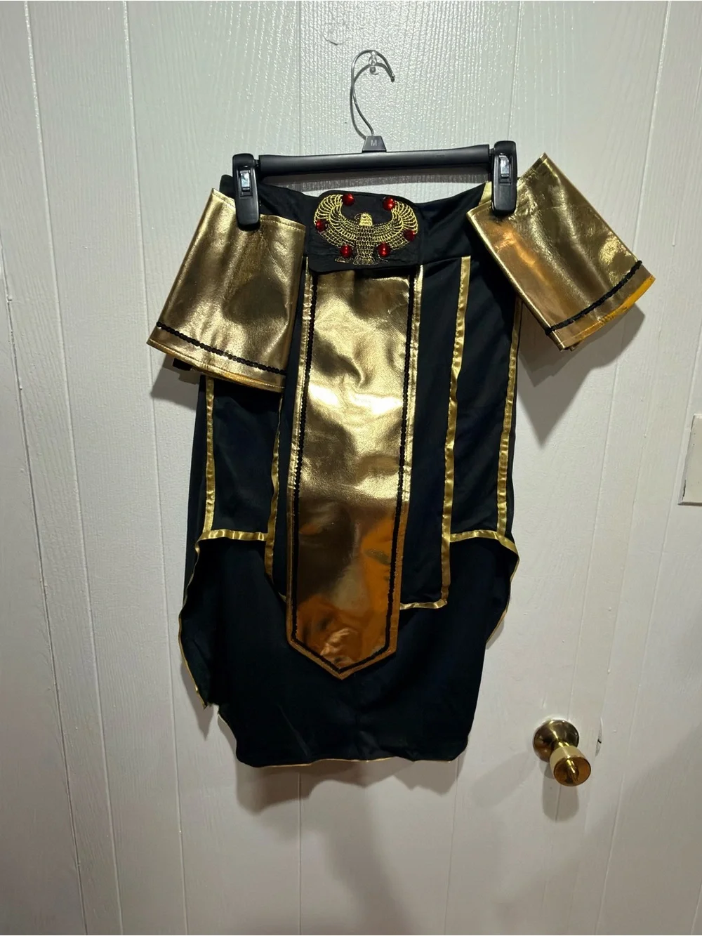 Spirit King of Egypt Adult Costume - Black and Gold